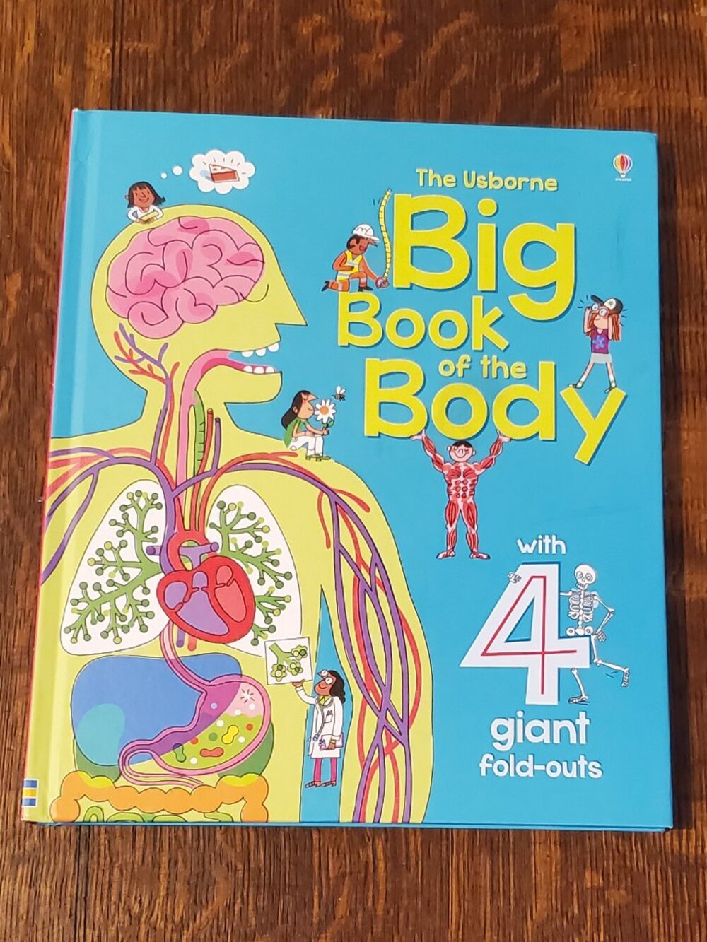 Usborne Big Book of the Body